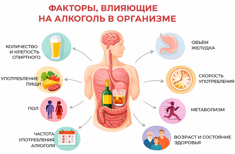 Схема факторов, влияющих на алкоголь в организме
